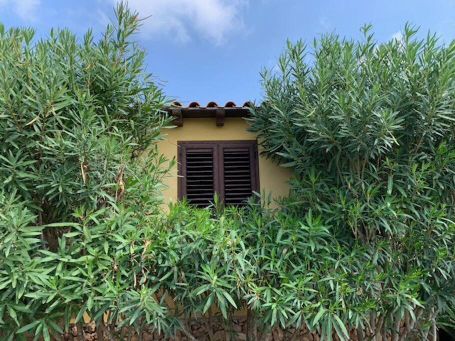 Villa Maveda, Un Dammuso Immerso Nel Verde Lampedusa Exterior photo