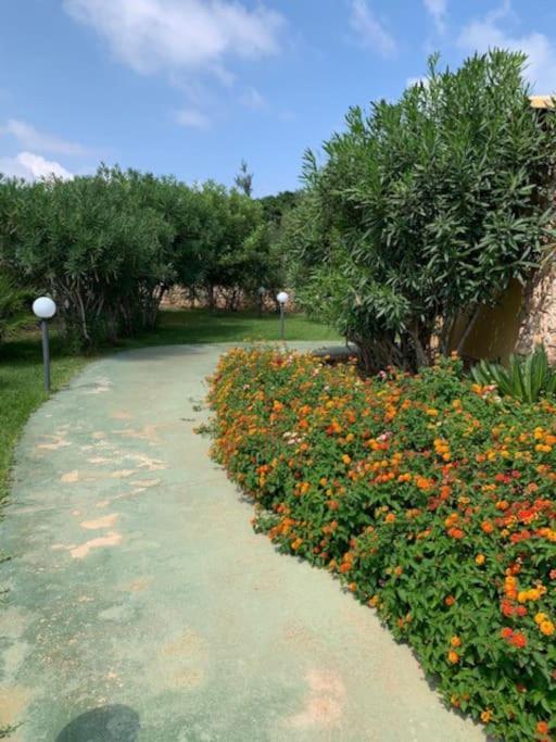 Villa Maveda, Un Dammuso Immerso Nel Verde Lampedusa Exterior photo